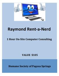 1 Hour On-Site Computer Consulting from Raymond Rent-a-Nerd Exp 08/2020 202//261